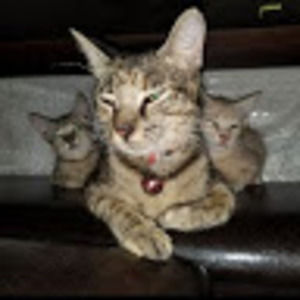 Meet your Posher, Scarlet